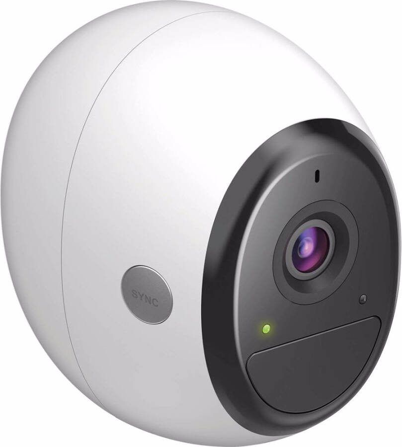 D-LINK D link Pro IP beveiligingscamera binnen & buiten DCS 2800LH EU