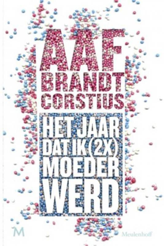 Het jaar dat ik (2x) keer moeder werd Aaf Brandt Corstius